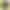 Филамент для 3D-принтера INSLOGIC MATTE PLA Yellow, 1 кг