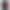 Аккумулятор BLP743, OnePlus 7T, (3800mAh)