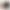 Дисплей (екран) Google Pixel 7 із сканером original REF