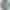 Ремешок Apple Watch 38/40mm Solo Loop Silicone Braided Green